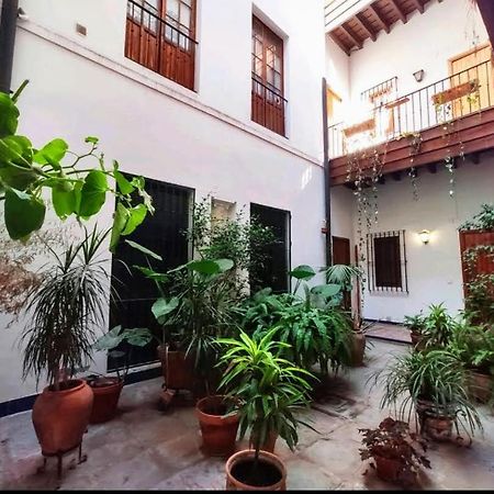 Coco Home Sevilla Urban Apartment Kültér fotó